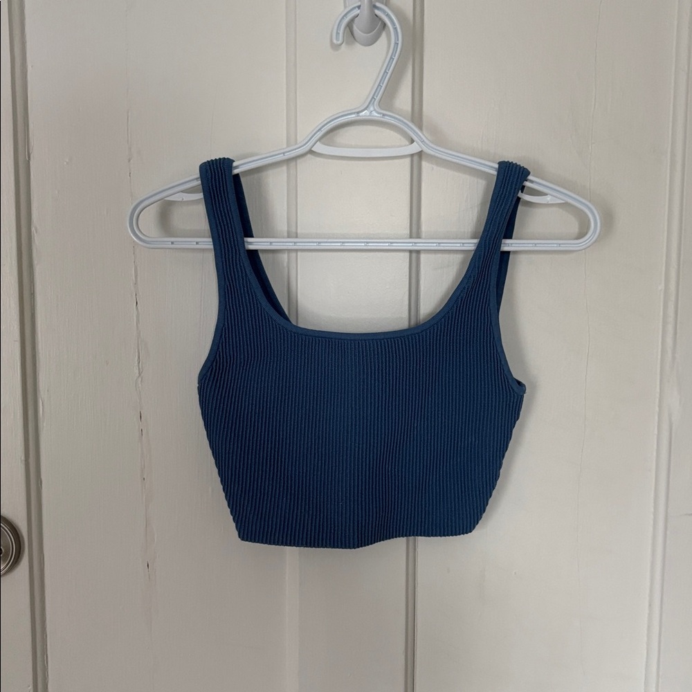 Aritzia Babaton Blue Ribbed Tank Top